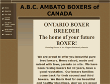 Tablet Screenshot of ambatoboxers.com